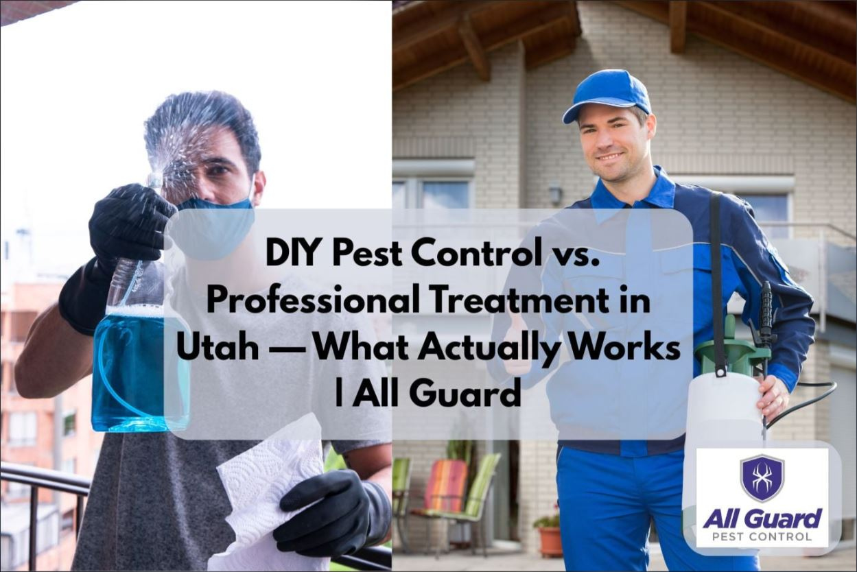 Is DIY or Professional Bug Control Really the Best in Utah?