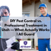 Is DIY or Professional Bug Control Really the Best in Utah?