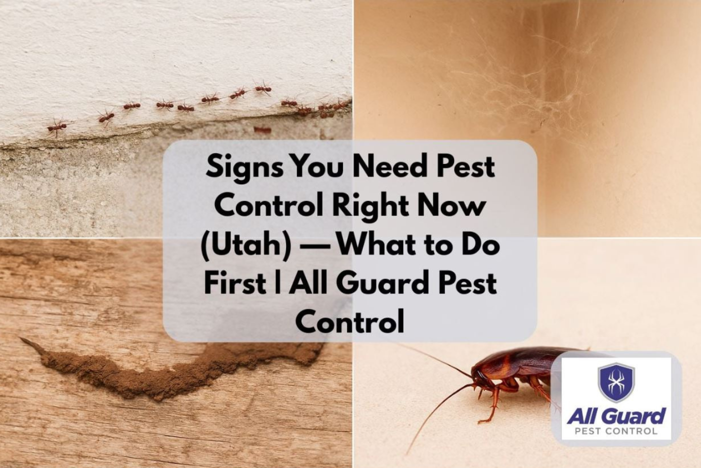 8 Signs You Need Pest Control Right Now (and What to Do First)