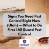 8 Signs You Need Pest Control Right Now (and What to Do First)