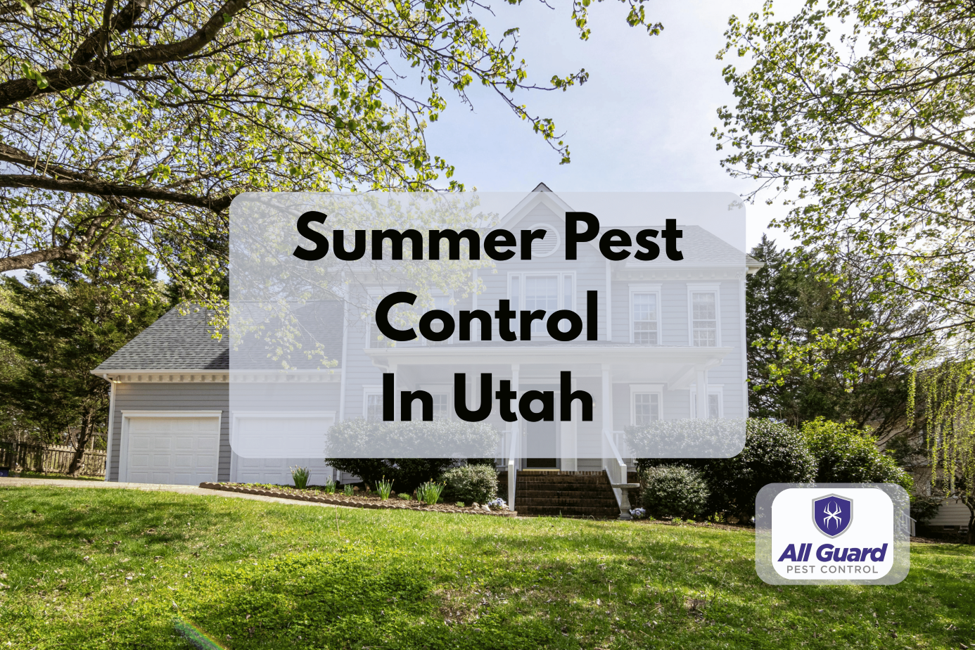 Consistent Pest Control: The Key to Beating Utah’s Summer Pest Infestations