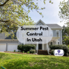 Consistent Pest Control: The Key to Beating Utah’s Summer Pest Infestations