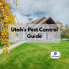 Utah Pest Control Guide — Protecting Your Home Year-Round
