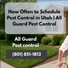 How Often Should You Schedule Pest Control in Utah?