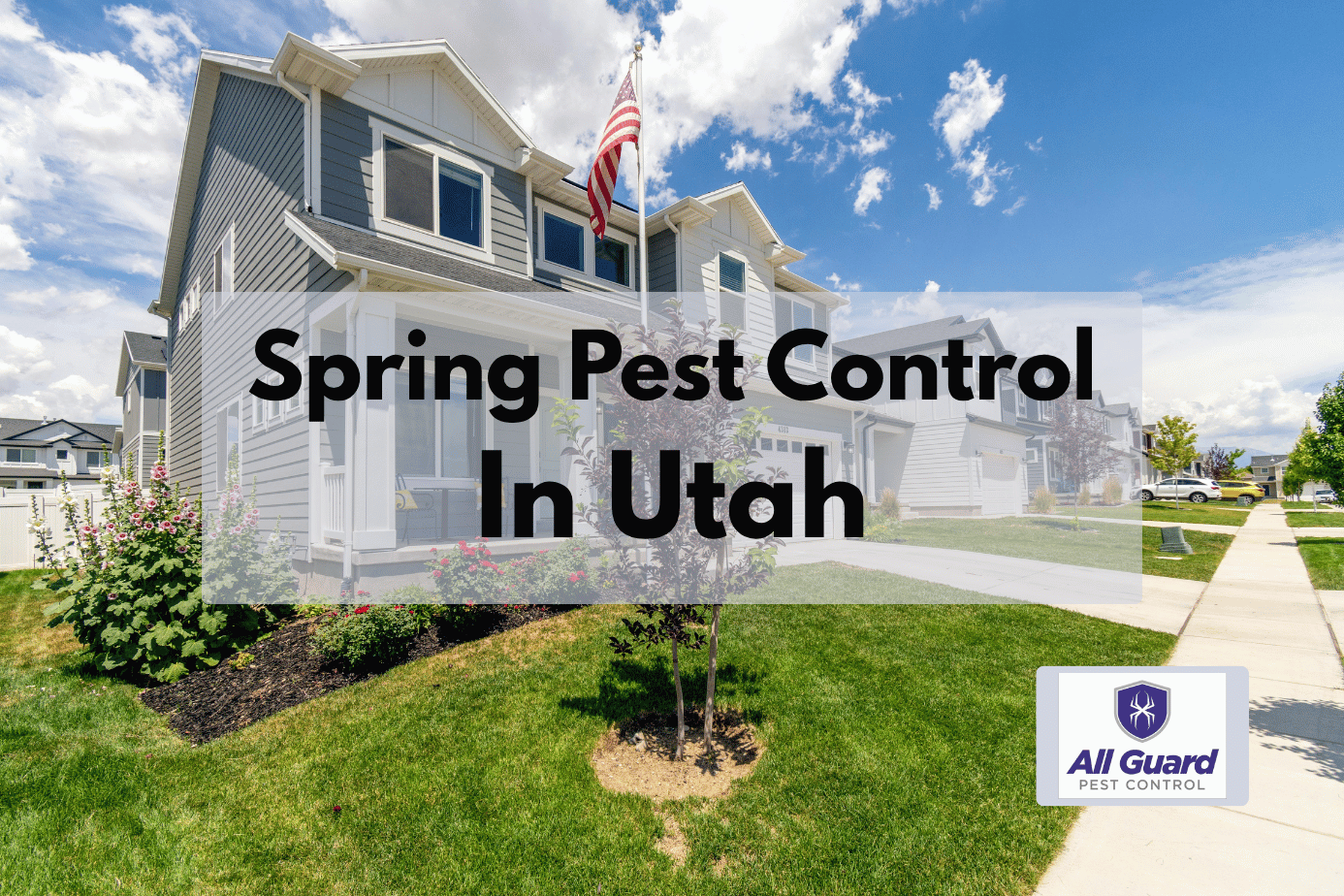 Spring Pest Control in Utah: Stop Ants and Wasps Before They Invade