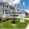 Spring Pest Control in Utah: Stop Ants and Wasps Before They Invade