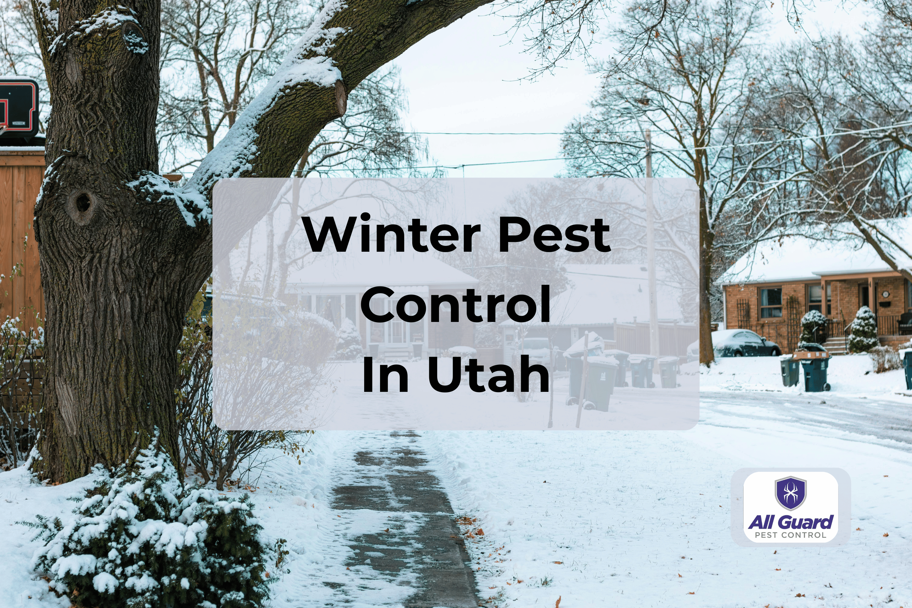 Winter Rodent Protection in Utah: Keep Mice Out