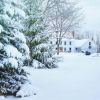 Winter Pest Control in Utah: Keeping Pests Out During the Colder Months