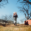 Spot Spring Pests Early: May Tips for Utah Homes